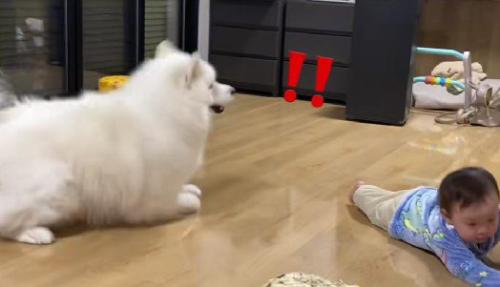 「!!」