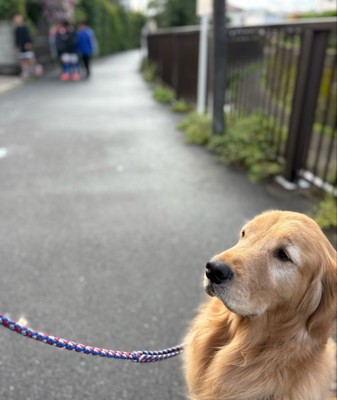 まさかの
