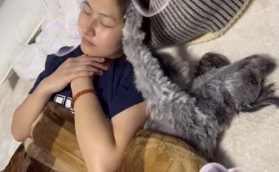 伸びをしながら起きる犬