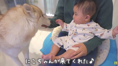 にこちゃんが登場！