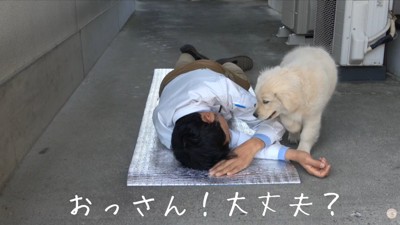 心配してくれるメイちゃん