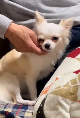 幸せそうなお顔♡
