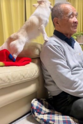 おじいちゃんに夢中!?