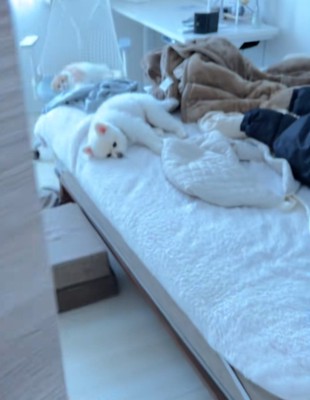飼い主さん「仕事がんばろ！」