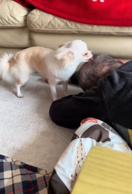 おじいちゃんが寝転んでも…