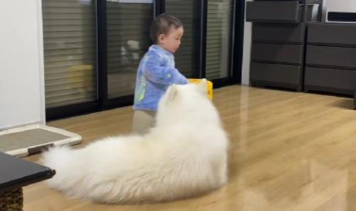 男の子と遊ぶこはくちゃん