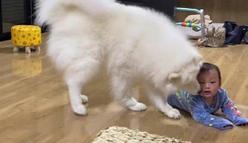 「大丈夫?」
