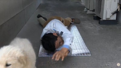 最後はやっぱり放置