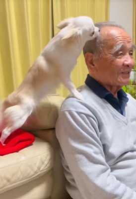 頭をペロペロ…