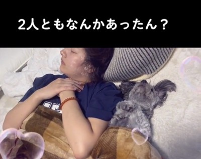 前足を胸元で曲げる犬