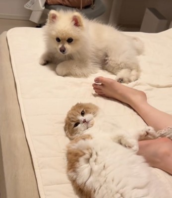 部屋に溢れるまったり感…