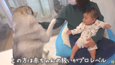 そっと近づくもんちゃん