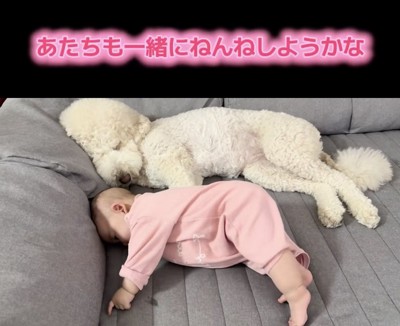隣でごろんっ