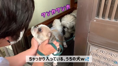 おしりの匂いをクンクン♪