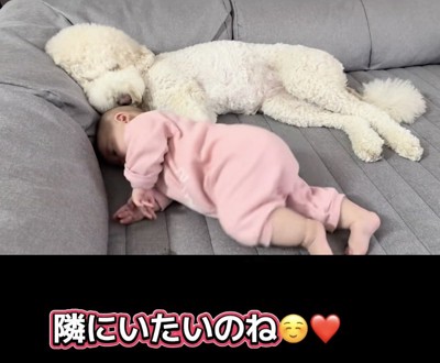 すくすく大きくなぁれ