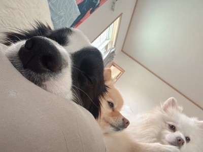 仲良し