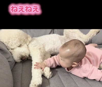優しくトントン