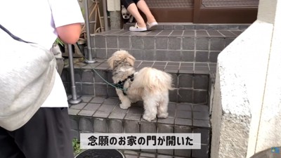 お友達のココちゃん登場！
