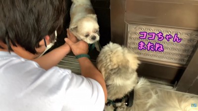 「またね」とご挨拶して帰宅