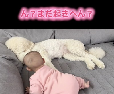 そろそろ起きてくれるかな？