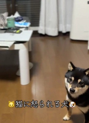 「え…なんで…？」