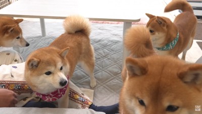 凛ちゃんは勘違いして…
