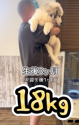 順調すぎる大成長!