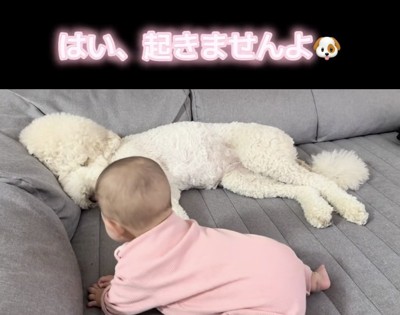 まだまだ寝るみたい