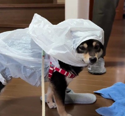 不服そうな顔だけど…