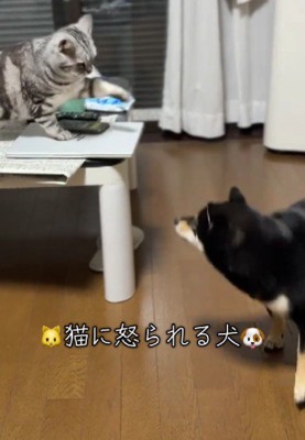 突然の宣戦布告！？