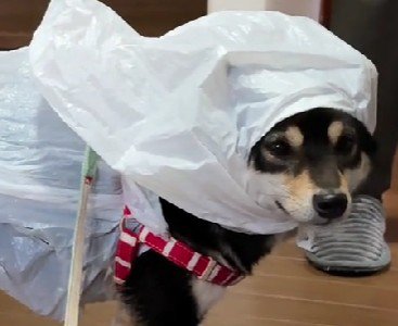 とってもお似合いです！
