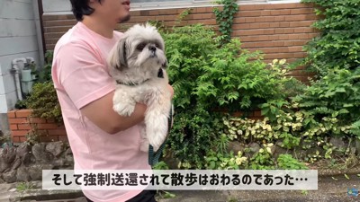 最後は抱っこで帰宅♪