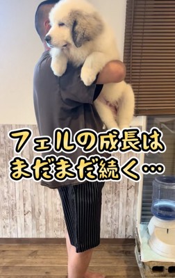 大きくなぁれ…!