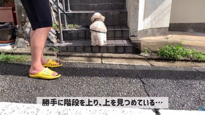 お友達を待ち伏せ中