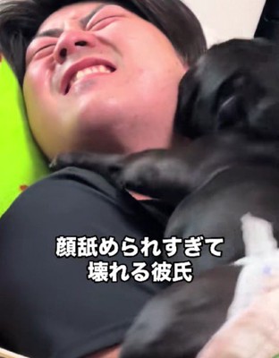 わんこたちに大人気な彼氏