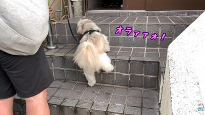 一生懸命階段を登って…