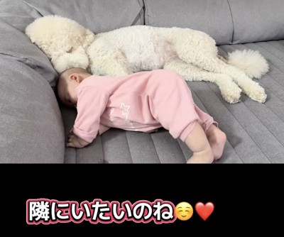 ウナちゃんにピトッ