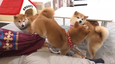 「なんで僕が怒られなきゃならないの！？」