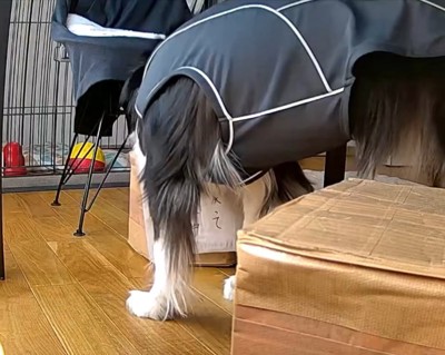 見守りカメラ