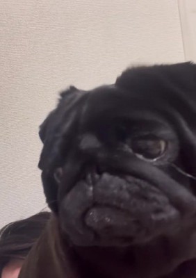 「なにか問題でも…？」