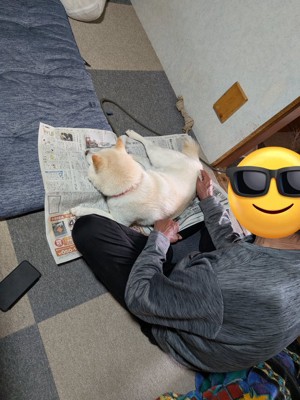 一コマ