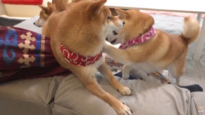 仕返しのつもりでパンチ！