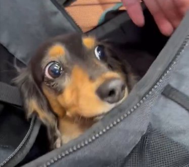 状況を把握