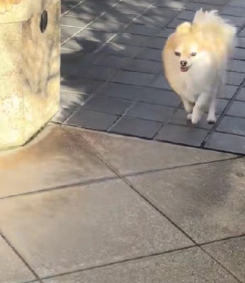 休憩中のソラちゃん