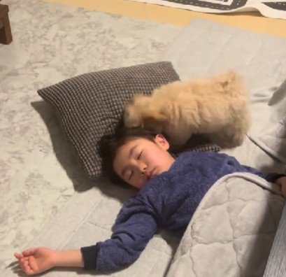遊びを催促するきなこちゃん