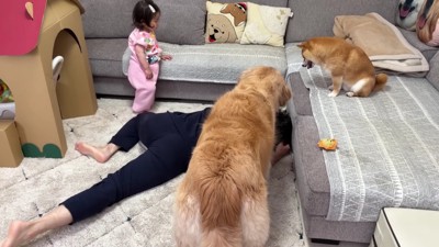 パパがサポートに入り…