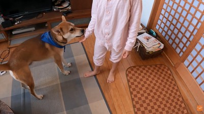 家族が揃ってよかったね♪