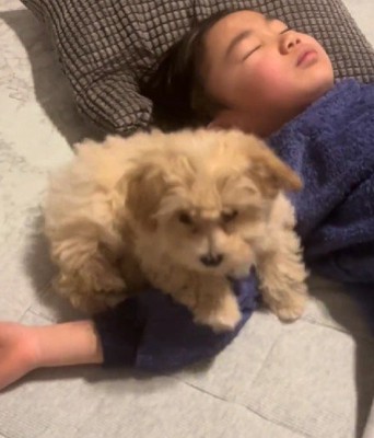いつでも一緒のふたり