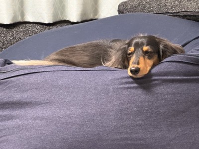 うっとり