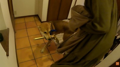 おもちゃを強奪！